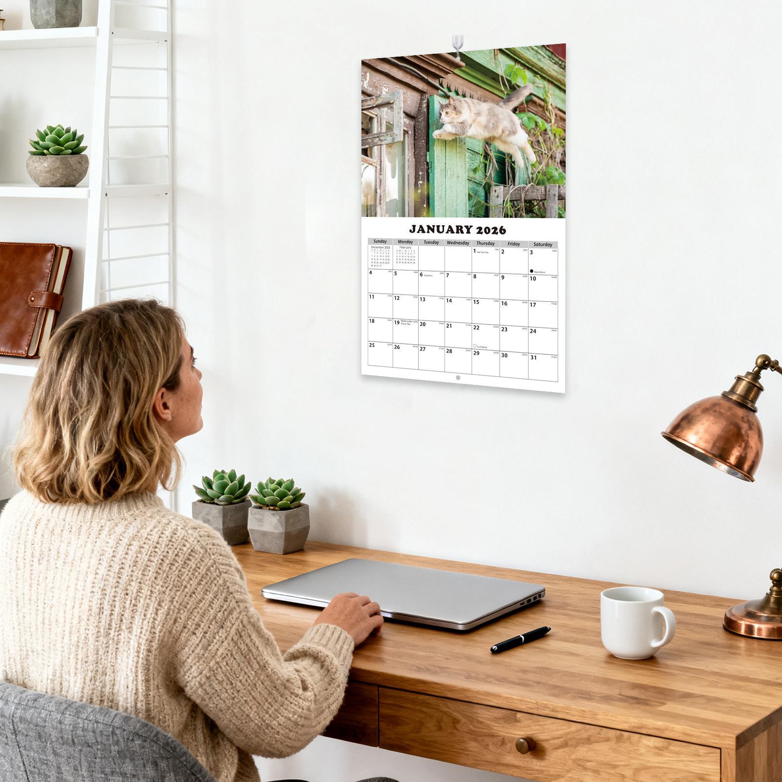ปฏิทินติดผนังลายแมว ปี 2026 ปฏ - English Home Office บทวิจารณ์และราคา