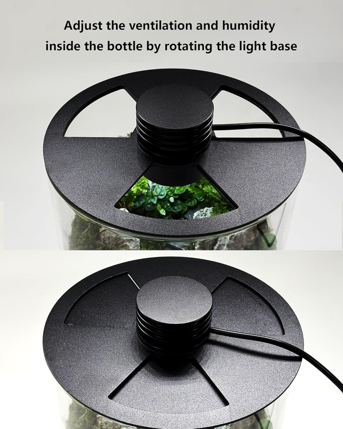 กระถางแก้วในร่มพร้อมไฟปลูกต้นไ - Home Office Lamp บทวิจารณ์และราคา
